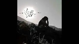 mentahan  status