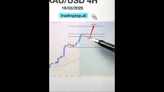 Gold market price movement analysis insight forex trading daily updates xauusd #goldprice#goldtrader