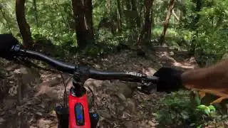 Wollongong mtb trails, Woo up into Rock up, Frisky dingo and down Bunker pt 2
