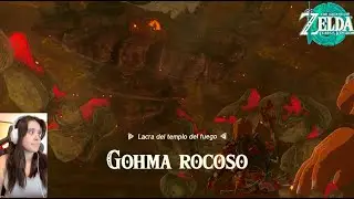 Zelda Tears of the Kingdom Gohma Rocoso