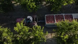 Mountain View Story