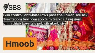 Gun control, anti-hate laws pass the Lower House - Tsev tsoom fwv pom zoo tsim tsab cai tswj...