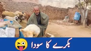 Bakre Ka Soda 🐐🥤 | Eid Se Pehle Full Comedy 😂