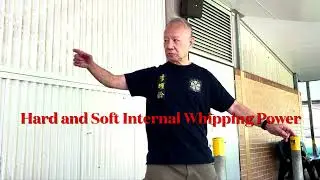 Whipping Backfist - Choy Lee Fut, Li Iu Ling Lineage. #liiulingchoyleefut