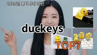 duckeys 쿠팡알리비교 리뷰 - 구매 전 꼭 보세요