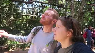 ENDLICH ZURÜCK! - AUF ZU DEN IGUAZUWASSERFÄLLEN • Argentinien • Weltreise Vlog 165