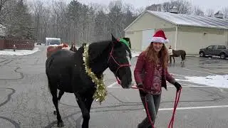 Happy Holidays from Camp Cheerful!