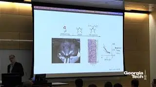 The Neural Circuits Underlying Short-term Memory
