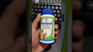 Gutwell suppliment review. #Penny , the Indian GSD ❤️