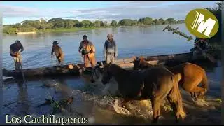Los Cachilaperos, Rafael Carrasco, Wilmer Tovar, Jesús Daniel Quintero y Maricruz Cisnero.
