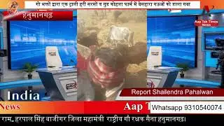 गो भक्तों द्वारा एक ट्राली हरी सरसों व गुड कोहला फार्म में बेसहारा गऊओं को डाला गया