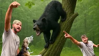 Running Bears In The Rain! (Last Hunt Of Early Bear Season In WV)
