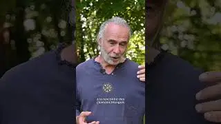 Peut-on vraiment apprendre le chamanisme en ligne ?