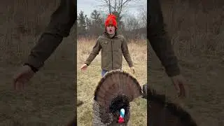 Only Two Turkey Decoys You Need! #shorts #turkeyhunting #hunting