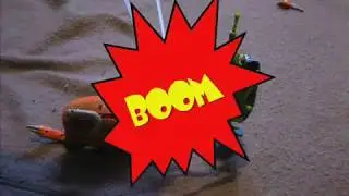Beast Wars Chronicle episode 6