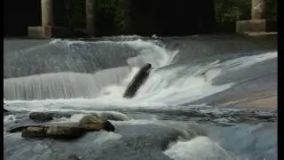 South River Trail Head