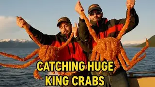 🦀 Why Alaska's King Crabs Cost More Than Gold!