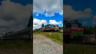 T3662 Tampere Viinikka-Toijala 🇫🇮 VR #train #video #Shorts   🛤️ trevlig resa