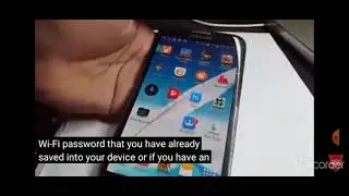 how to find wifi password reality