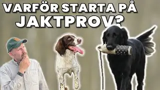 Varför är det bra att starta på Jaktprov?