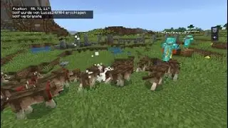 Anime varo mini 9 ep 8, tot + 3. Mate