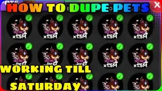 🌊TUTORIAL🔥 HOW to DUPE PETS in Sword Fighters Simulator
