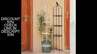 1Set Climbing Plant Trellis Garden Support Cages For Flowers Plants Support Frame Trellis Climbing D