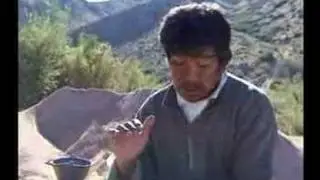 Los Lavadores de Oro