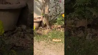 Nature at it&rsquo;s best