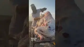 full camel 🐪 #cooking #camel #camelmandi2023 #foodie #viral ##short