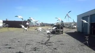 24 bird Flyright rotary machine using stationary arms with Feather Flyer decoys
