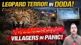 Leopard Sighting in Village Shiva, Doda Sparks Fear Among Residents | Leopard Spotted in Doda