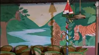 Live From Mohaan | Jim Corbett 