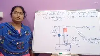 Reaction of acids with metal hydrogen carbonates | Part 3 from Acids bases and salts 10th chemistry