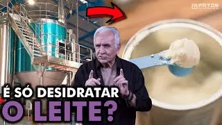 Como &eacute; feito o leite em p&oacute;?