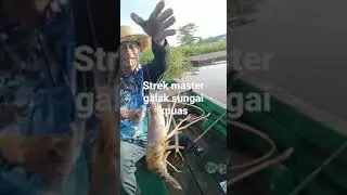 strek d sungai kpuas dpan dok kpl