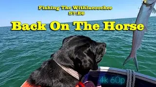 Fishing The Withlacoochee: S7E6 Back on the Horse   (4k60)