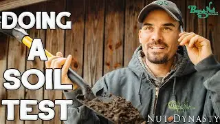 Taking a Soil Test In Your Pecan Orchard