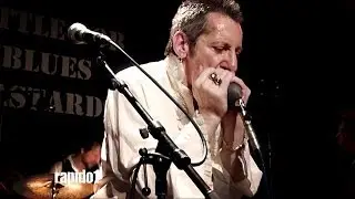 Little Bob & the Blues Bastards 