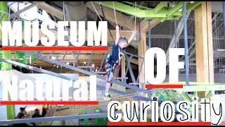 MUSEUM OF NATURAL CURIOSITY | KIDS MUSEUM | MUSEUM OF SCIENCE | DYCHES FAM