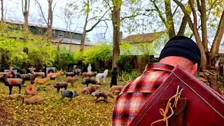David Miller Longbow