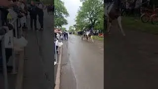The flash, Appleby 2025 #travellers #horse