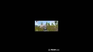 Live streaming of JERRY