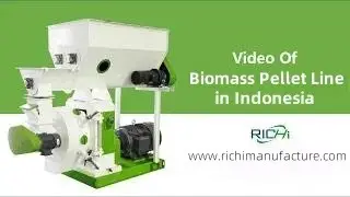 Biomass Wood Pellet Production Line in Indonesia | Energy Pellet Plant Project