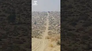Toyota Surf Conquers the Epic Dunes of Achro Thar Desert Sindh | Ultimate Off-Road Adventure!