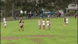 Rowville Balwyn Highlights 2024