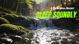 Calm River Flow with Moonlight at Night 🌿💧 | ASMR Water Sounds for Restful Sleep