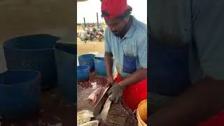Colorful Spangled Emperor Fish Cutting Skill | Huge Spangled Emperor Fish Cutting