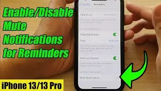 iPhone 13/13 Pro: How to Enable/Disable Mute Notifications for Reminders