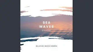 Salt Water Serenity